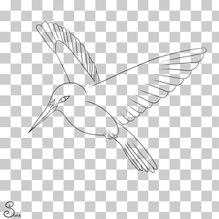 Page 8 284 Drawing Hummingbird Png Cliparts For Free Download Uihere