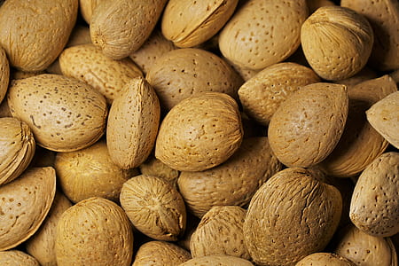 bunch of brown seeds thumbnail