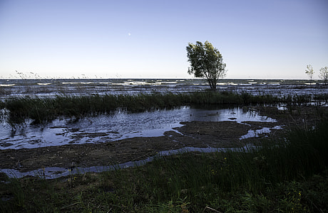 Lake Michigan landscape and Horizon with a tree at J.W. Wells State Park thumbnail