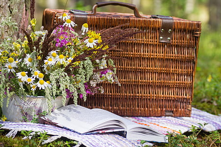 brown woven picnic basket beside book thumbnail