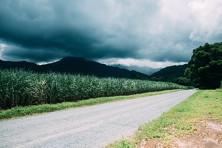 wide angle photography of road thumbnail