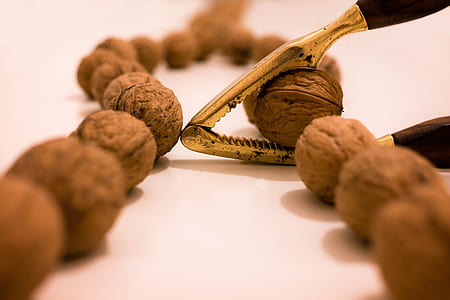 brown nuts with nut opener thumbnail