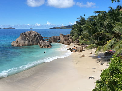 view of beach surrounded by trees near blue ocean water during daytime thumbnail