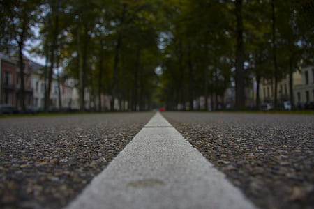 low angle photo of asphalt road near trees at daytime thumbnail