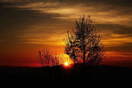 light, dawn, nature, sky thumbnail