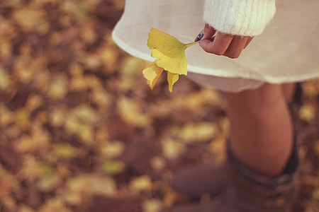 woman on white long sleeve dress holding yellow flower thumbnail