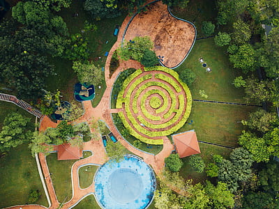 aerial view of green maze bush thumbnail
