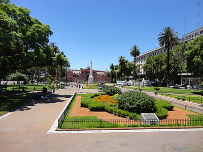 photo of green leafed trees near buildings thumbnail