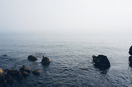 aerial photography of beach thumbnail