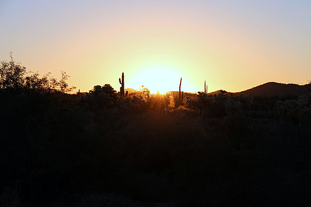 golden hour thumbnail