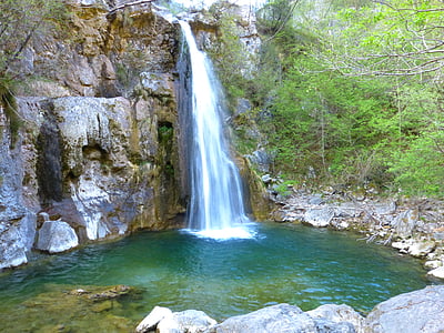 waterfalls near trees during daytime thumbnail