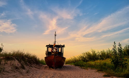 brown boat surrounded by grass thumbnail