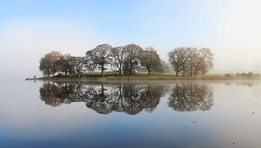 photo green island with trees surrounded by body of water thumbnail