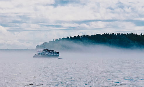 black and white ship on ocean at daytime thumbnail