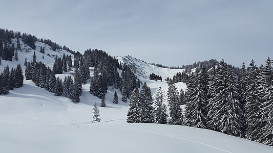 mountain with snow and trees thumbnail