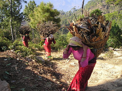 three women carry basket full of woods during daytime thumbnail