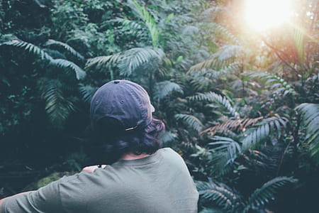 person standing beside trees thumbnail