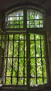 light, dirty, wall, garden thumbnail