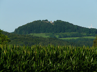 Castle Scharfenberg, Hilltop thumbnail