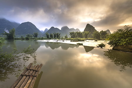 high-angle photo of green leaf trees near body of water at daytime thumbnail