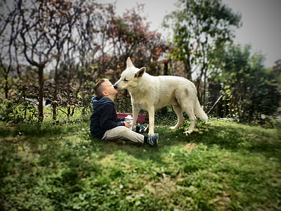 boy kissing white shepherd on outdoors thumbnail
