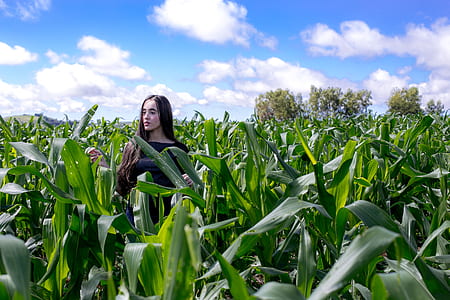 nature, sky, person, woman thumbnail