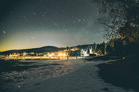 body of water near trees at nighttime thumbnail