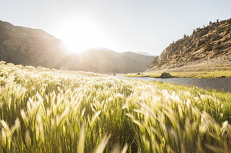 river near open field background of mountain thumbnail