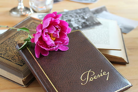 pink flower on brown leather notebook thumbnail