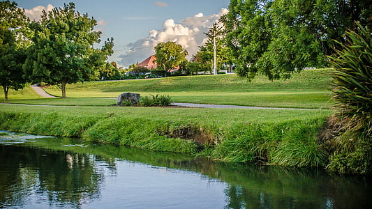 green tree surrounded by green grass near body of water thumbnail