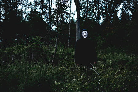 Man in Middle of Grass Field thumbnail