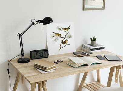 brown wooden desk with lamp, digital clock, painting of three birds perched on twigs and books thumbnail