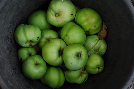 round green fruits on bucket thumbnail