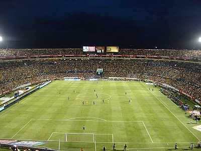 soccer field top view photo thumbnail