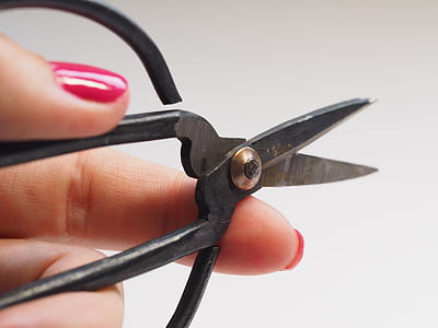 person holding black metal scissors thumbnail