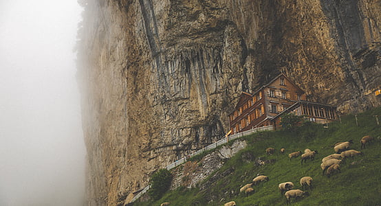 brown house near mountain thumbnail
