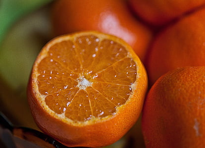 shallow focus of orange fruit thumbnail