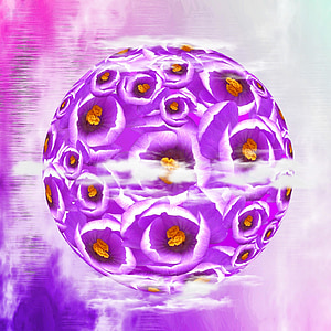 purple and white flowers thumbnail