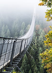 two persons walking on gray metal hanging bridge during daytime thumbnail
