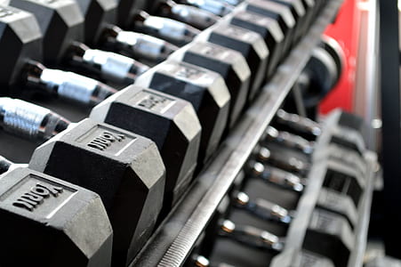 gray-and-black dumbbell lot on gray metal rack thumbnail