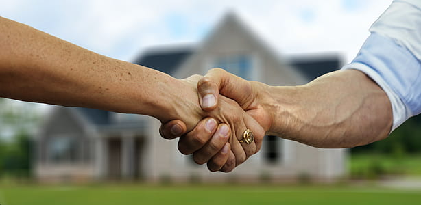 two people shaking hands during daytime thumbnail