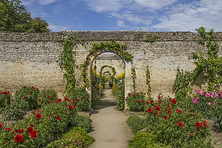 photo of gray concrete walls with garden thumbnail