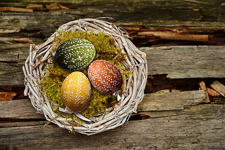 yellow, green, and red easter eggs on brown bird nest thumbnail
