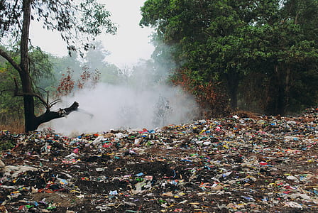 field filled with trash thumbnail