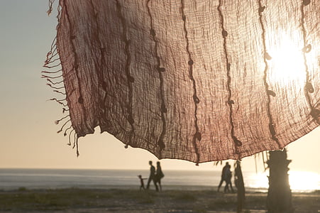 people walking on seashore thumbnail