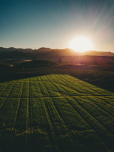 grass field thumbnail
