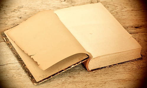 white and brown book thumbnail