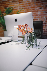 Modern office Interior with old vintage brick Wall thumbnail