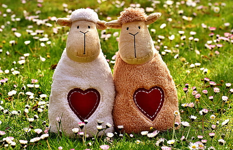 two white and brown sheep plush toys thumbnail