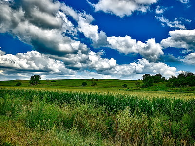 green grass field under cloudy sky thumbnail